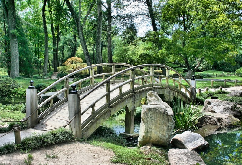 Dreamy Garden