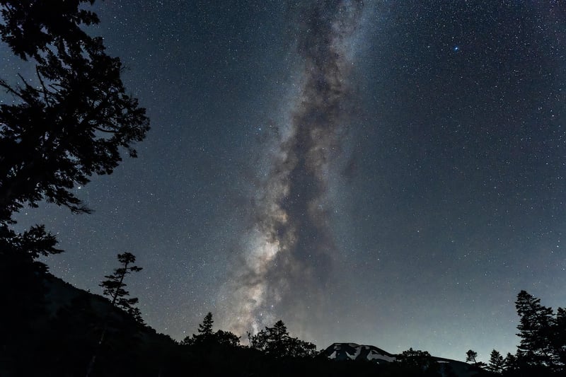 Night sky garden